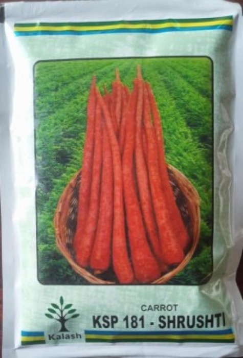 CARROT KSP 181 SHRUSHTI 500GM
