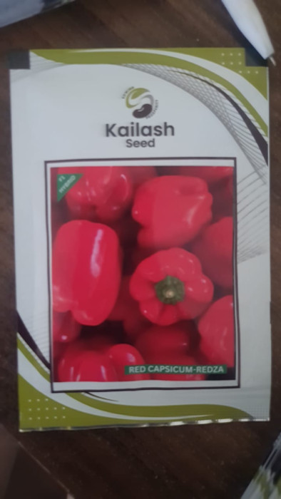 RED CAPSICUM 1000SEED(P)
