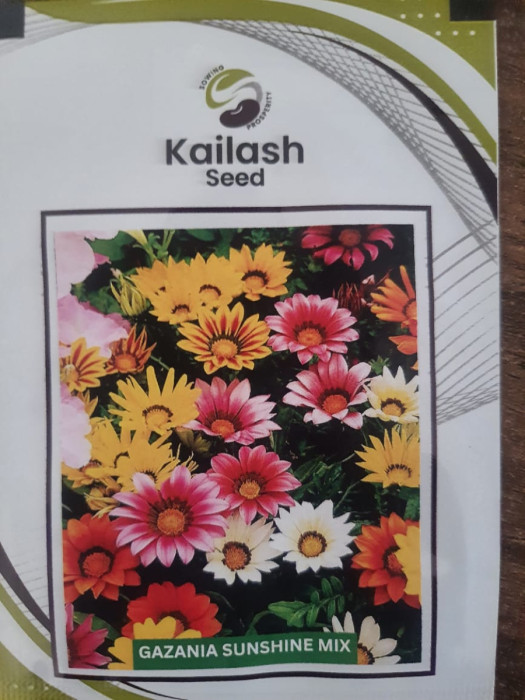 GAZANIA SUNSHINE MIX