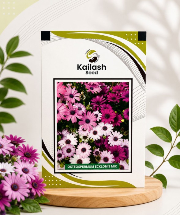 Osteospermum Ecklonis Mix