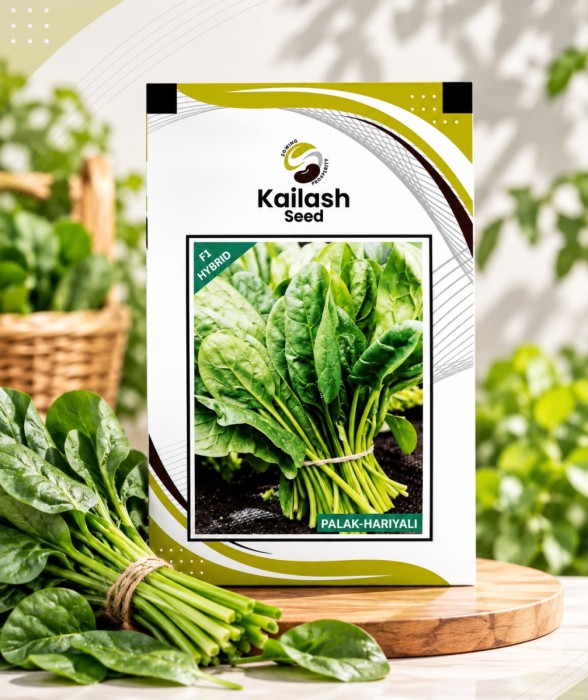 Spinach