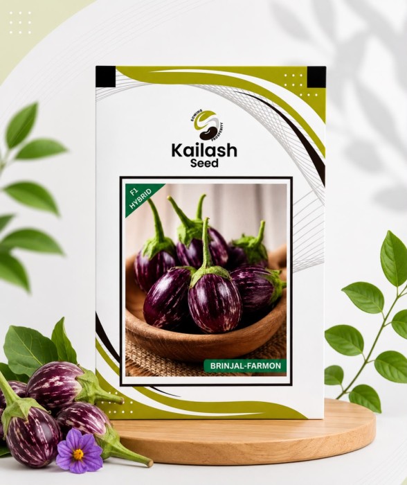 Brinjal