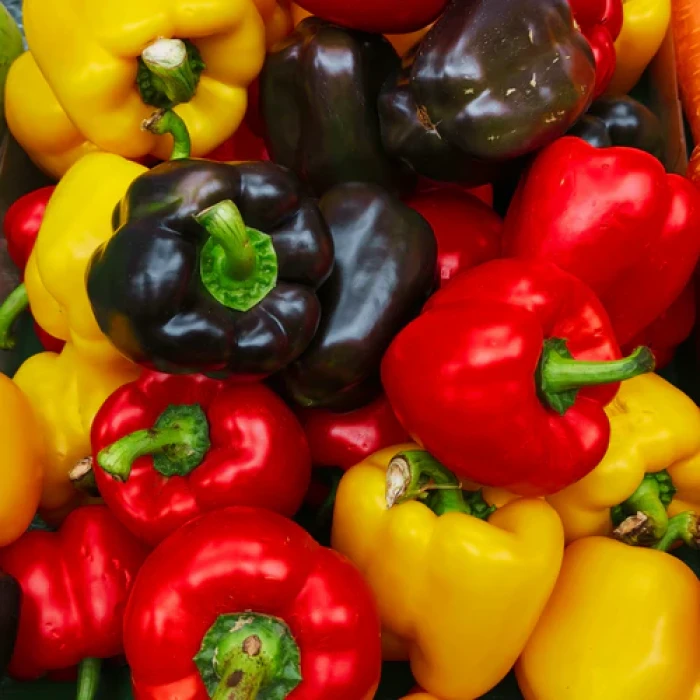 Bell pepper