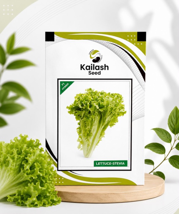Lettuce Stevia