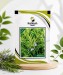 Rosemary - Image 1