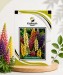 Lupin Pixie Delight Mix - Image 1