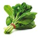 Spinach - Image 2