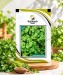 Coriander - Image 1