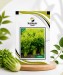 Celery - Image 1