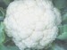 Cauliflower - Image 3