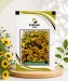 Calliopsis (Tinctoria) Mix - Image 1