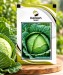 Cabbage - Image 1